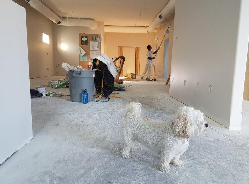 Home construction project