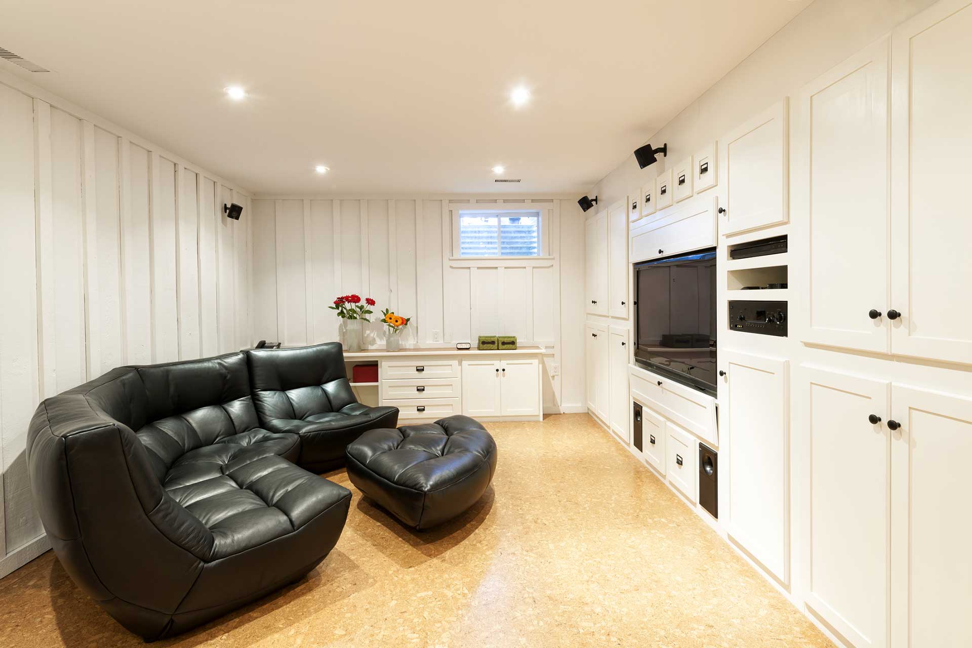 Basement & Den
